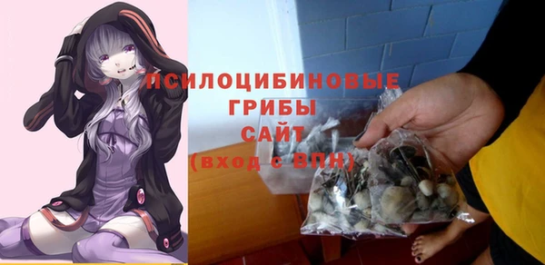 spice Баксан