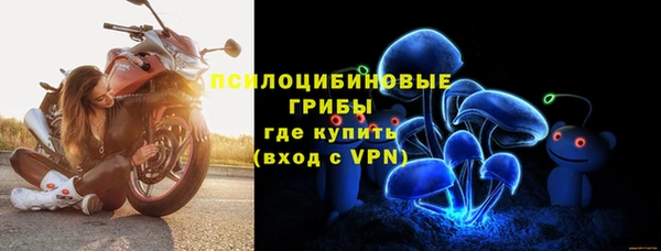 дмт Балахна