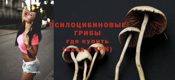 дмт Балахна
