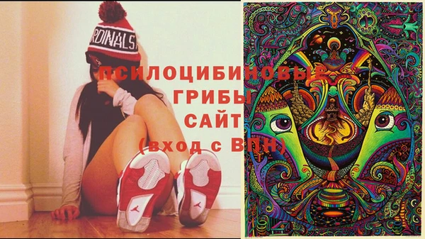 дмт Балахна