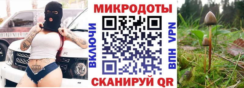 закладка  ссылка на мегу ссылки  Псилоцибиновые грибы ЛСД  Бор 